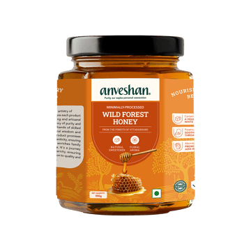 Anveshan Minimally Processed Wild Forest Honey