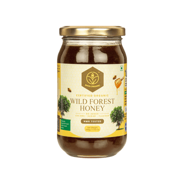 Shiva Organic Raw Wild Forest Organic Honey
