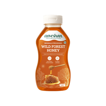 Anveshan Raw Wild Forest Honey