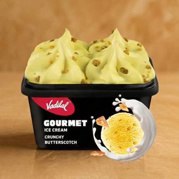 Vadilal Gourmet Crunchy Butterscotch Ice Cream Tub
