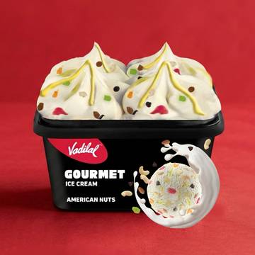 Vadilal Gourmet American Nuts Ice Cream Tub