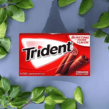 Trident Cinnamon Chewing Gum (Sugar Free)