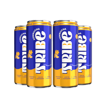 Tribe Kombucha Zesty Gingerade Probiotic Sparkling Drink