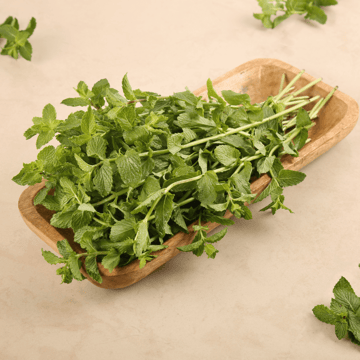 Mint Leaves (Pudina)