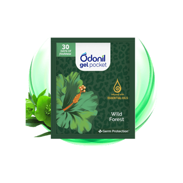 Odonil Gel Pocket Wild Forest Air Freshener (Wild Forest)
