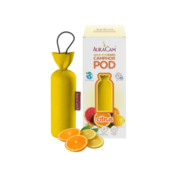 AuraCam Gold Standard Camphor Pod/Cone (Citrus)
