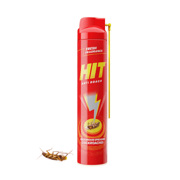 Hit Spray Crawling Insect & Cockroach Spray