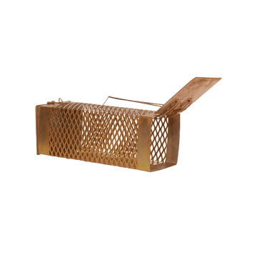 Aravi Rat Trap Cage