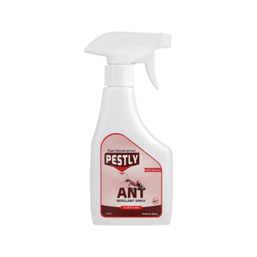Pestly Ant Spray