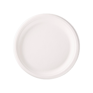 Greenvale Eco Products Disposable Plates (11 inches, 1 pack (10 pieces))