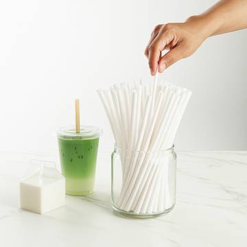 Pack N Wrap 100% Plastic Free Disposable Straw
