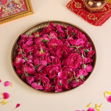 Rose (Flowers & Petals)
