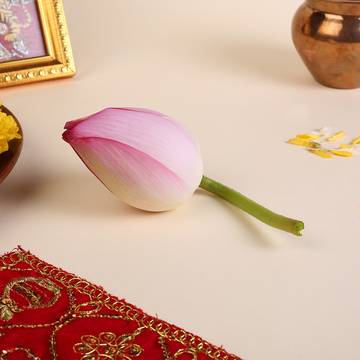 Pink Lotus Flower (Kamal)