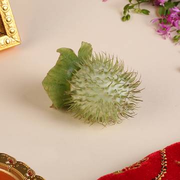 Dhatura for Pooja