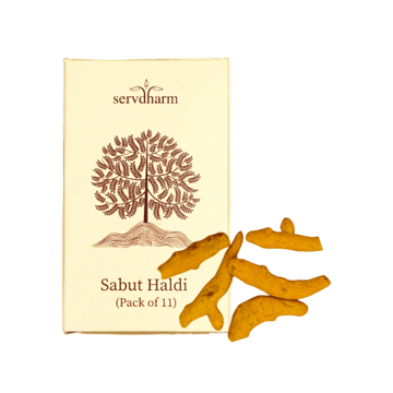 Sabut Haldi / Turmeric Whole (11 Sticks) by ServDharm