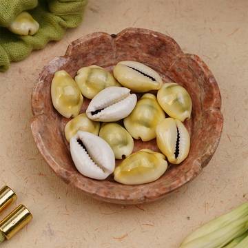 Kaudi shells by ServDharm