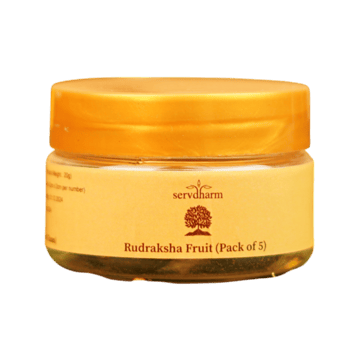 Rudraksha Fruit by ServDharm
