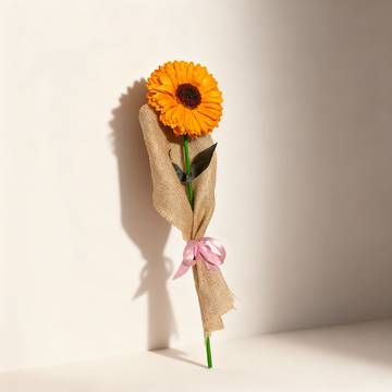 Eternal Blooms Hello Sunshine Dried Flowers Bouquet
