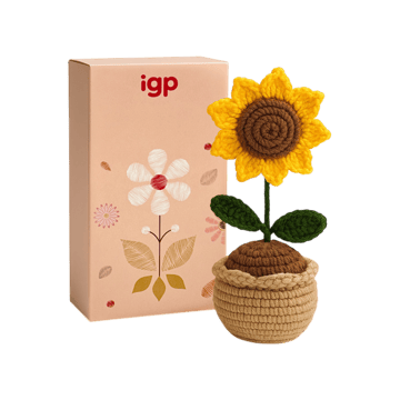 IGP Crochet Sunflower