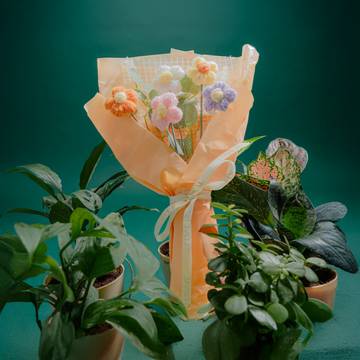 Rooted Pastel Bloom Daisy Crochet Flower Bouquet