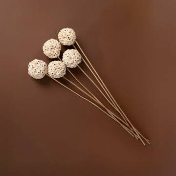 TrustBasket Sola Wood Ball Dried Flowers