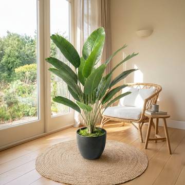 Gift Aura Banana Artificial Plant with Pot