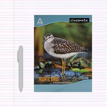 Classmate Four Line Notebook (B5, Design may Vary)