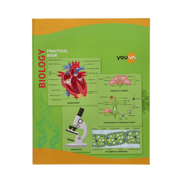 Youva Biology Single Line Practical Book (A4, Multicolour)