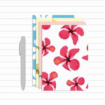 Papboo Single Line Notebook Set of 4 (A5, Multicolour)