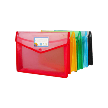 SPS File Folder - Pack of 5 (Multicolour)